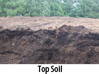 Top Soil